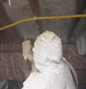 Indianapolis  IN crawl space insulation